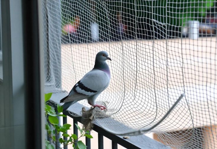 prevent pigeon problems on your balcony with high quality netting (1)