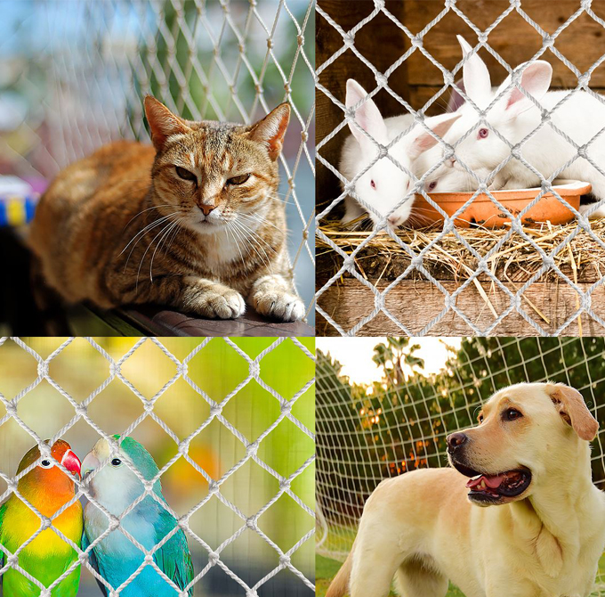 pets (1)