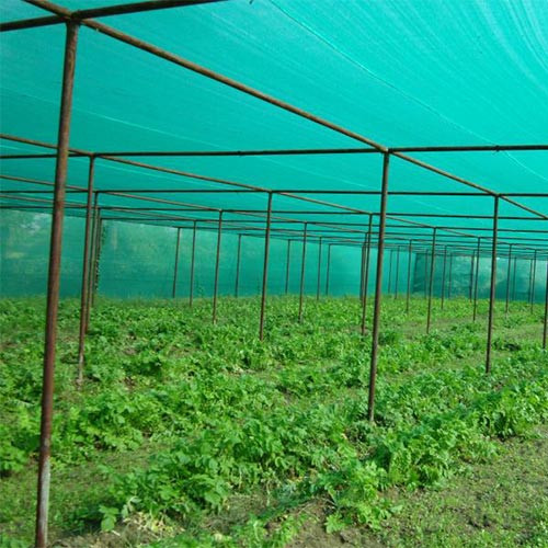 shade net 3